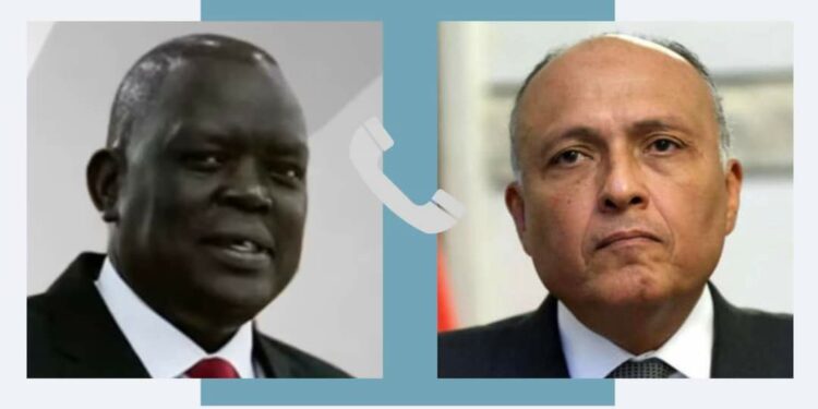 Choucri et le ministre des Affaires étrangères du Soudan du Sud s'entretiennent de la crise soudanaise 1 - Le Progrès Egyptien