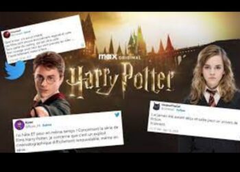 La série Harry Potter divise déjà les fans