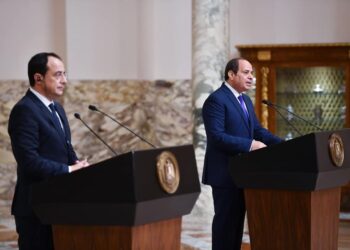 Nikos Christodoulídis : Le partenariat avec l’Egypte est réussi 