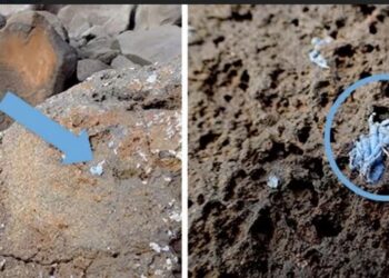 Le « plasticroûte », une roche créée par la pollution plastique