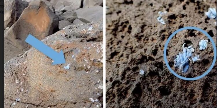 Le « plasticroûte », une roche créée par la pollution plastique 2 - Le Progrès Egyptien Le « plasticroûte », une roche créée par la pollution plastique 1 - Le Progrès Egyptien