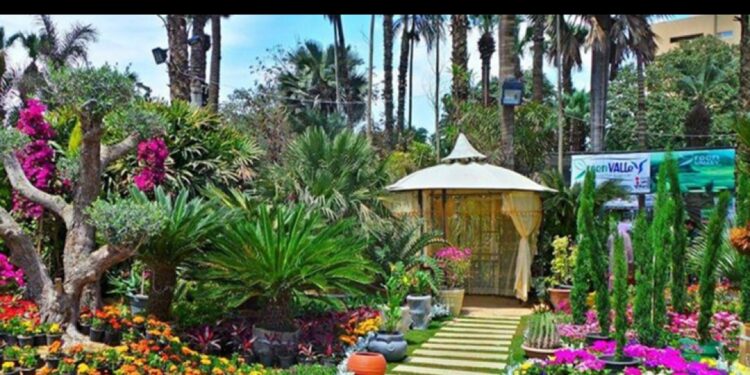 Fêtes : Les parcs fin prêts pour accueillir le public 2 - Le Progrès Egyptien Fêtes : Les parcs fin prêts pour accueillir le public 1 - Le Progrès Egyptien