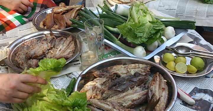 Cham El-Nessim et Petit-Baïram, l’Oméga 3 à l’honneur 1 - Le Progrès Egyptien