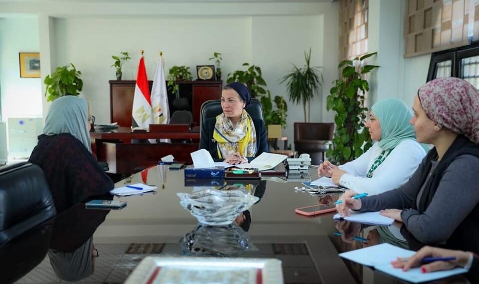 Accéder à une licence internationale pour les produits recyclés 1 - Le Progrès Egyptien