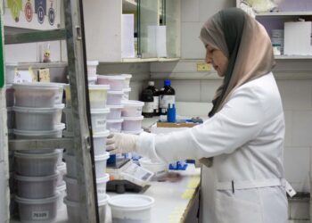 Aïd Al-Fitr : Les secteurs agricoles poursuivent leur travail