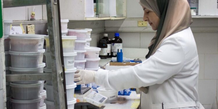 Aïd Al-Fitr : Les secteurs agricoles poursuivent leur travail 2 - Le Progrès Egyptien Aïd Al-Fitr : Les secteurs agricoles poursuivent leur travail 1 - Le Progrès Egyptien