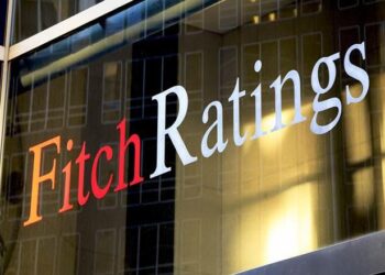 Fitch : Forte croissance du E-Commerce en Egypte
