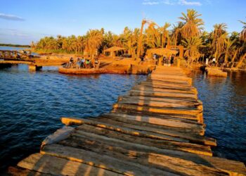 Développement de l’oasis de Siwa