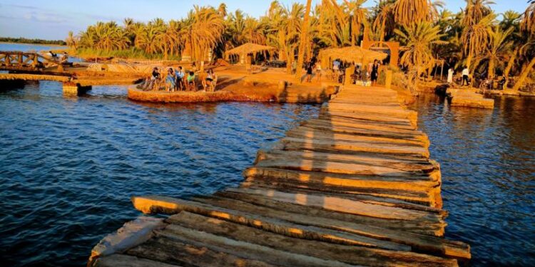 Développement de l’oasis de Siwa 2 - Le Progrès Egyptien Développement de l’oasis de Siwa 1 - Le Progrès Egyptien