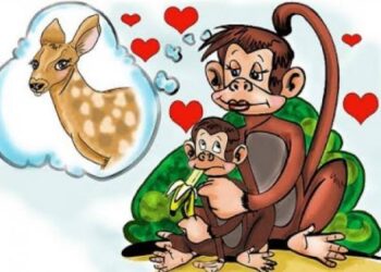 Le singe aux yeux de sa mère est une gazelle