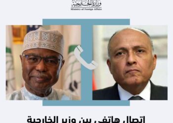 Choucri discute de la crise soudanaise avec le secrétaire général de l’OCI