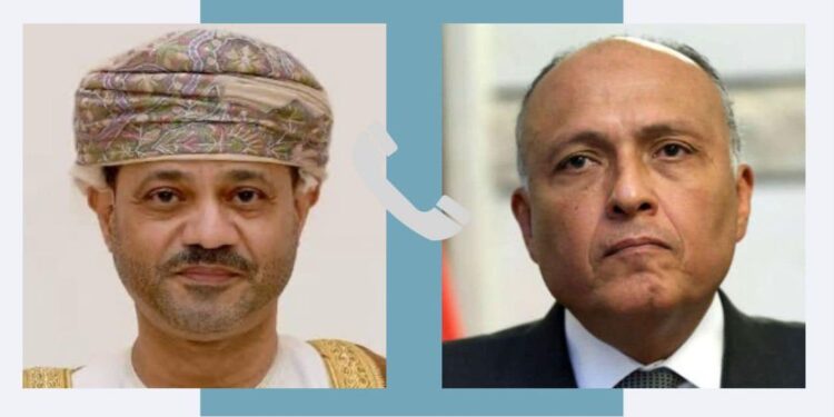 Choucri discute de la conjoncture soudanaise avec son homologue émanais 1 - Le Progrès Egyptien