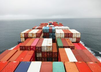 Augmentation des exportations agricoles égyptiennes