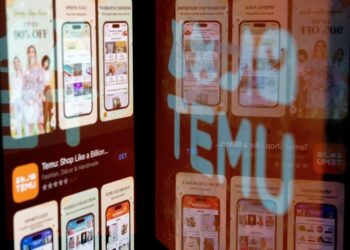 Temu, l’application chinoise qui fait son trou aux Etats-Unis