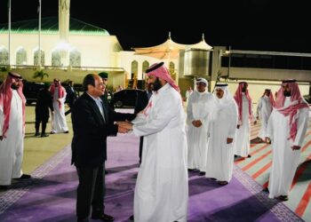 Al-Sissi et Mohamed Ben Salmane soucieux de renforcer la coopération (Photos)