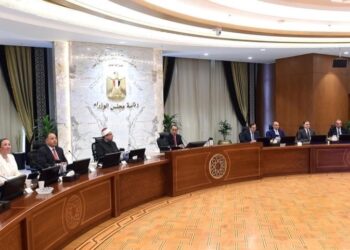 Efforts assidus de l’Egypte pour rapatrier ses ressortissants