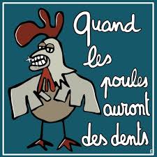 Un proverbe, une histoire