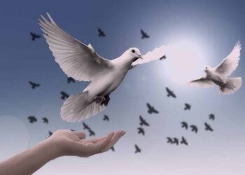 Valeurs de l’Islam : La conception de la liberté