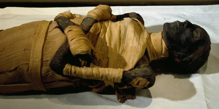 Réussir sa momie en 10 étapes 1 - Le Progrès Egyptien