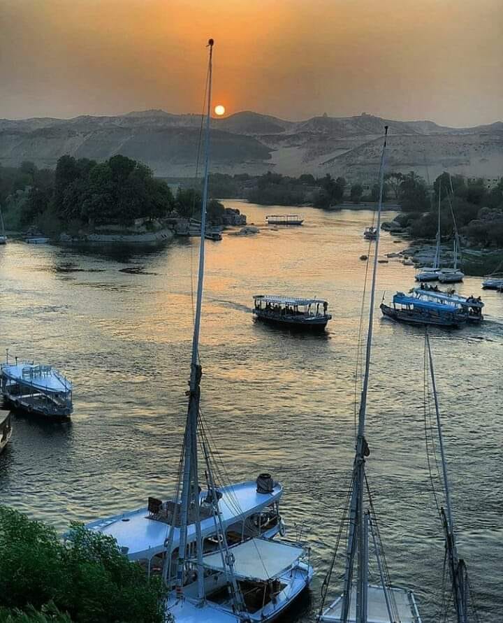 Sans-titre 10 - Le Progrès Egyptien Sans-titre 9 - Le Progrès Egyptien