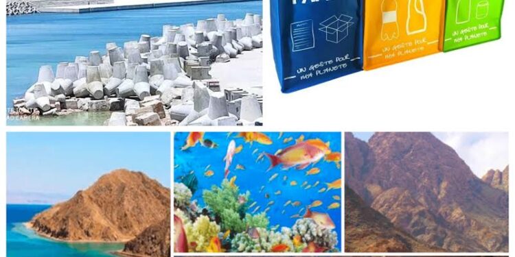 Grand intérêt aux questions écologiques 1 - Le Progrès Egyptien