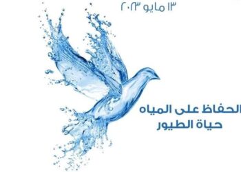 Préserver l’eau, donne vie          aux oiseaux migrateurs