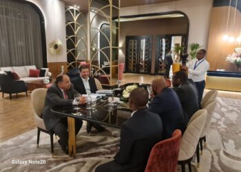Les capacités égyptiennes au service des frères Africains