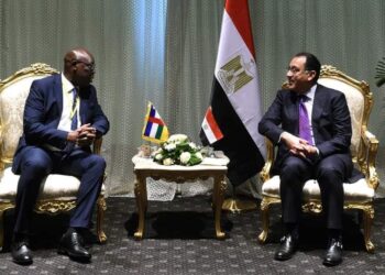 La Centrafrique soucieuse de tirer parti de l’expertise égyptienne