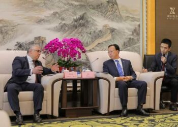 ZECS : Incitations aux investisseurs chinois