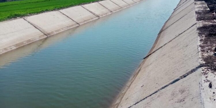 Relever les défis hydrauliques 1 - Le Progrès Egyptien