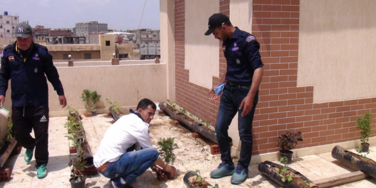 Cultiver les toits face aux changements climatiques 2 - Le Progrès Egyptien Cultiver les toits face aux changements climatiques 1 - Le Progrès Egyptien