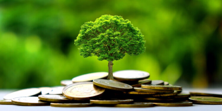 Small trees on a pile of gold coins and a natural green background. Money saving ideas.