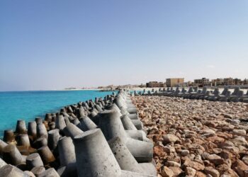 Changement climatique : Protection des côtes d’Alexandrie