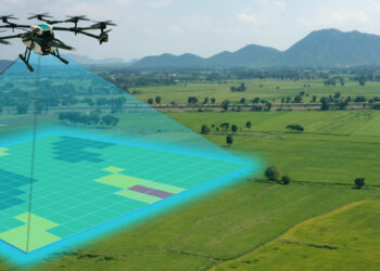 La détection au service du développement
