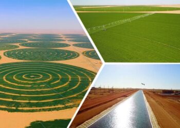 Vers un développement agricole intégré