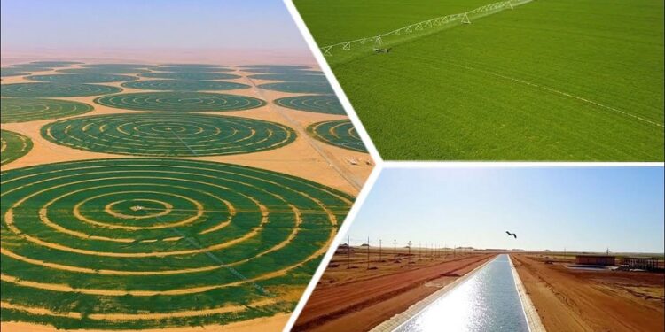 Vers un développement agricole intégré 1 - Le Progrès Egyptien