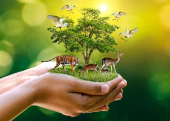 Grand intérêt aux questions écologiques