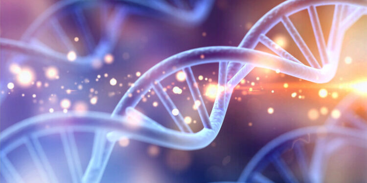 Un outil de surveillance suit les traces ADN 1 - Le Progrès Egyptien