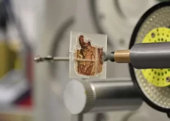 Les papyrus révèlent de nouveaux secrets grâce aux rayons X