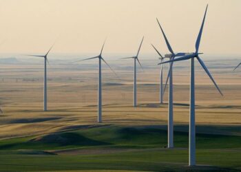 La plus grande ferme éolienne d’Afrique :Une initiative durable pour l’Égypte