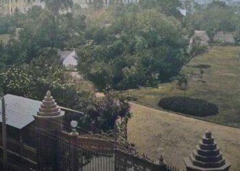 Le parc d’Ezbékieh retrouve vie