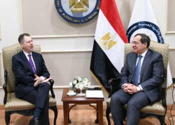 El-Molla : Optimiser le profit de la hausse des prix du gaz 