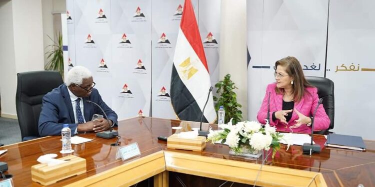 "Vie décente pour l'Afrique" booste le développement durable 2 - Le Progrès Egyptien "Vie décente pour l'Afrique" booste le développement durable 1 - Le Progrès Egyptien