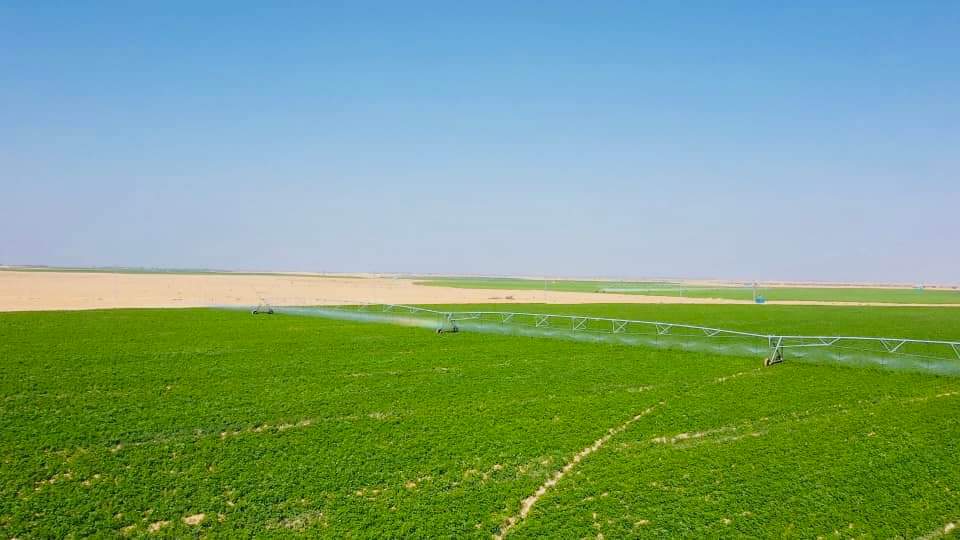 Le Président suit les projets agricoles 34 - Le Progrès Egyptien Le Président suit les projets agricoles 33 - Le Progrès Egyptien