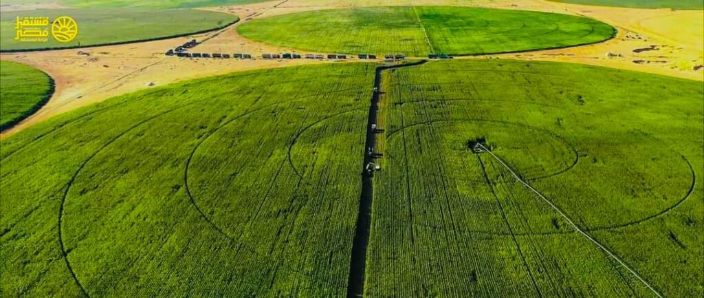 Le Président suit les projets agricoles 38 - Le Progrès Egyptien Le Président suit les projets agricoles 37 - Le Progrès Egyptien