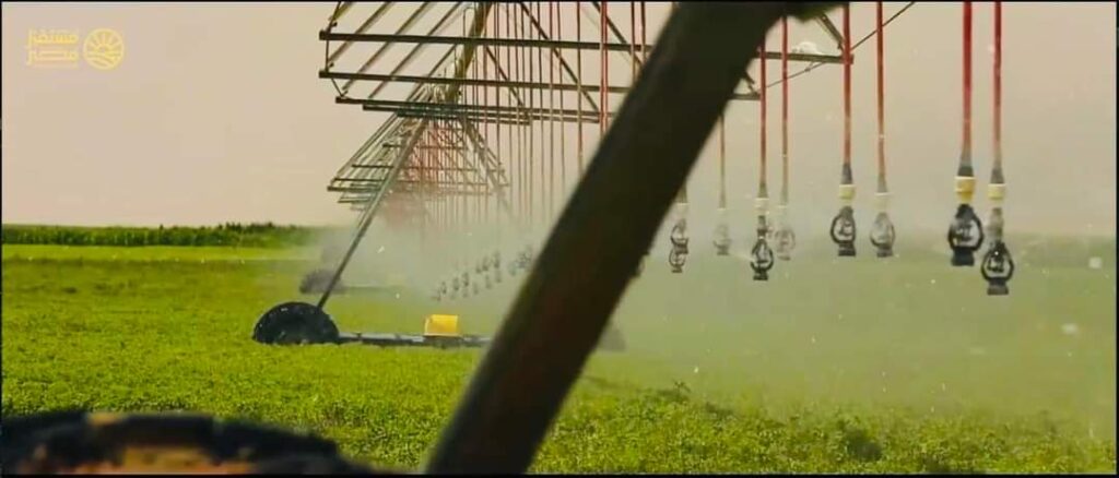 Le Président suit les projets agricoles 24 - Le Progrès Egyptien Le Président suit les projets agricoles 23 - Le Progrès Egyptien