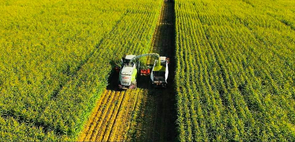 Le Président suit les projets agricoles 22 - Le Progrès Egyptien Le Président suit les projets agricoles 21 - Le Progrès Egyptien