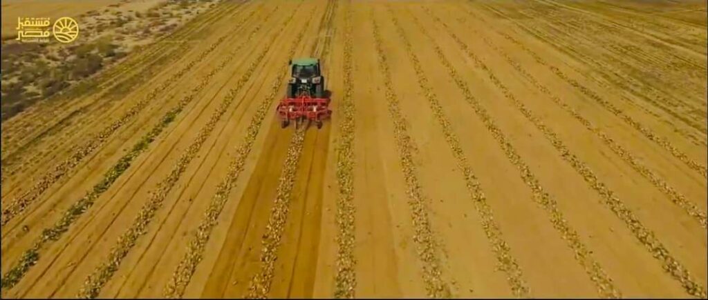 Le Président suit les projets agricoles 20 - Le Progrès Egyptien Le Président suit les projets agricoles 19 - Le Progrès Egyptien