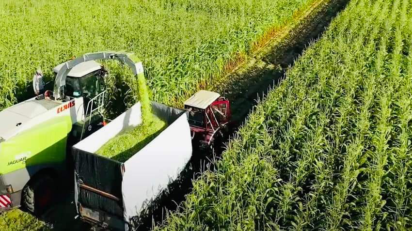 Le Président suit les projets agricoles 16 - Le Progrès Egyptien Le Président suit les projets agricoles 15 - Le Progrès Egyptien