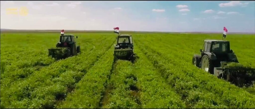 Le Président suit les projets agricoles 12 - Le Progrès Egyptien Le Président suit les projets agricoles 11 - Le Progrès Egyptien